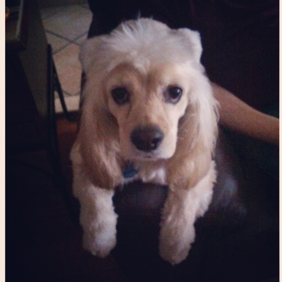 Meet your Posher, Alyssa - Picture 2 of 5